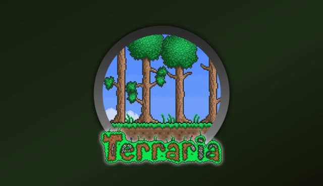 Wspólna gra na serwerze Terraria