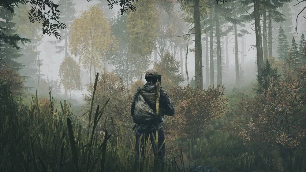 Comment puis-je rejoindre un serveur DayZ ?