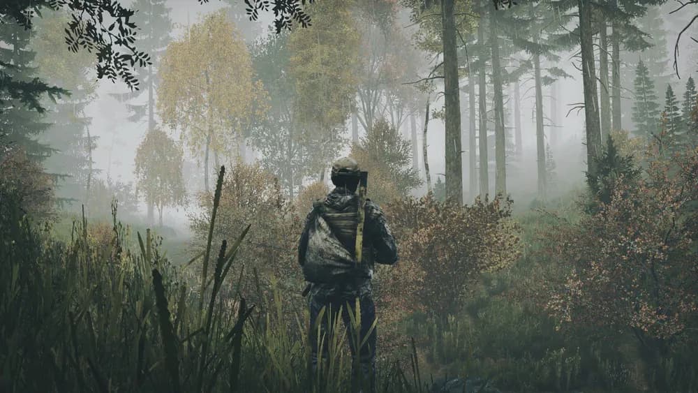 How to Join a DayZ Server ?