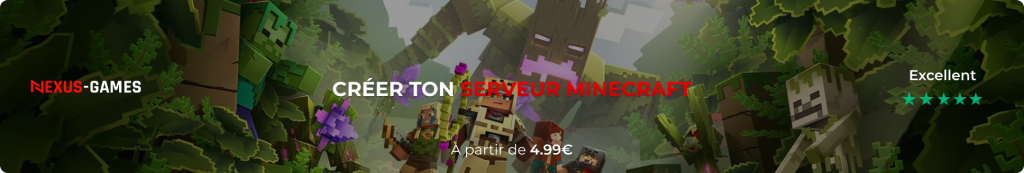 Hebergeur Minecraft