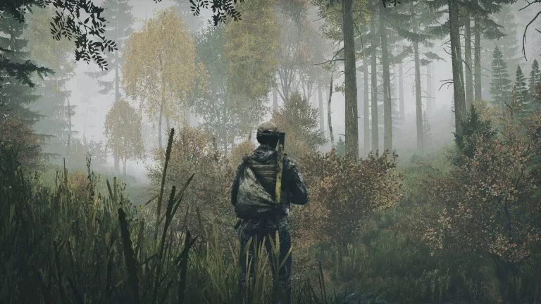 Comment puis-je rejoindre un serveur DayZ ?