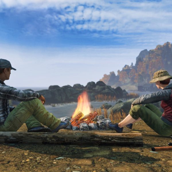 How to Stop Being Sick in DayZ ?