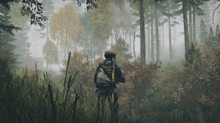 How to Join a DayZ Server ?