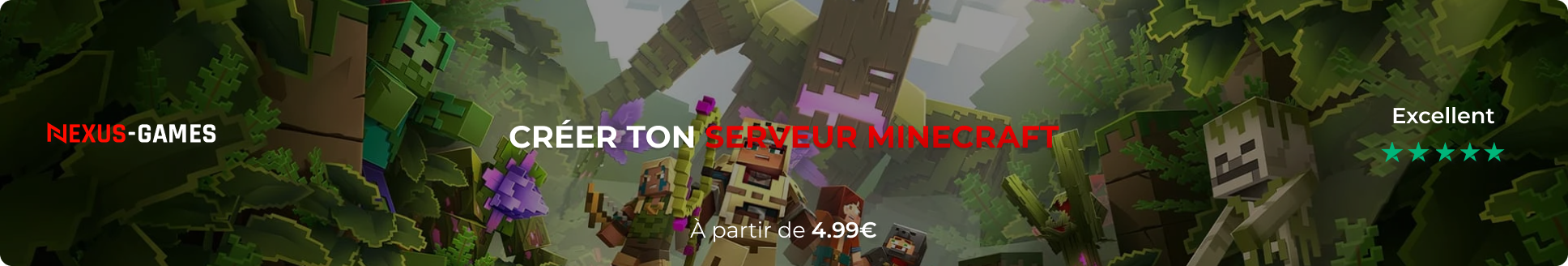 Hebergeur Minecraft