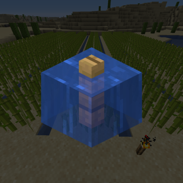 waterlogging in minecraft 2025