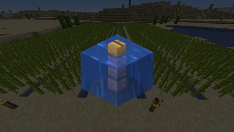 waterlogging in minecraft 2025