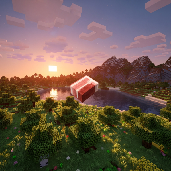 Illustration immersive du sujet : minecraft verhungern